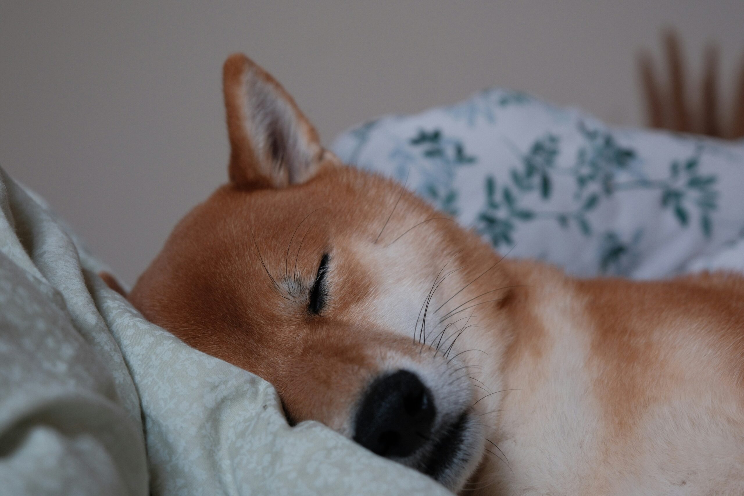Hello world!